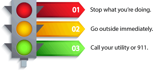 1. stop what you're doing 2. go outside immediately 3. call your utility 